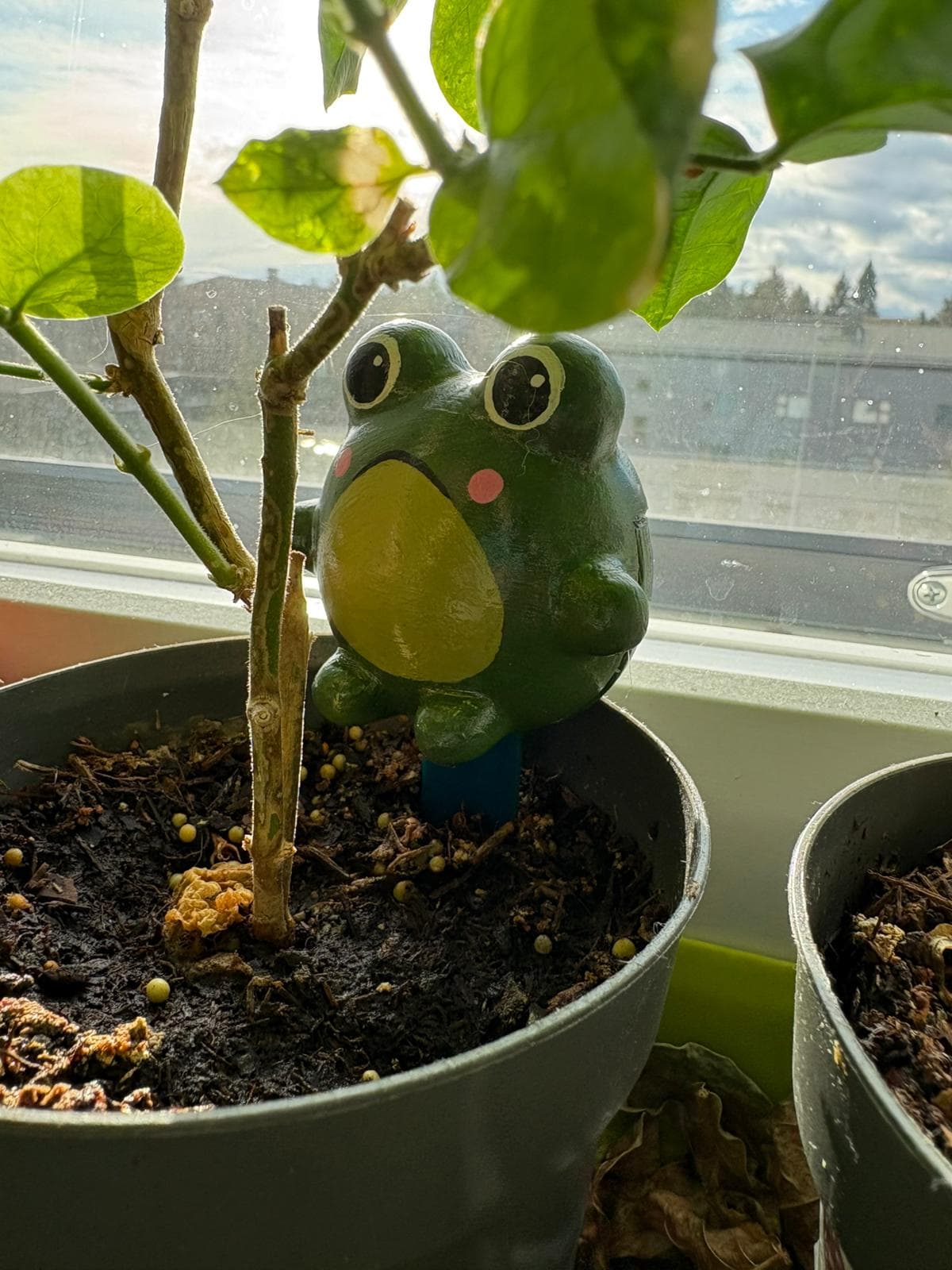 A green Sprooty frog on a blue stake pushed into the soil of a potted plant on a sunny windowsill.