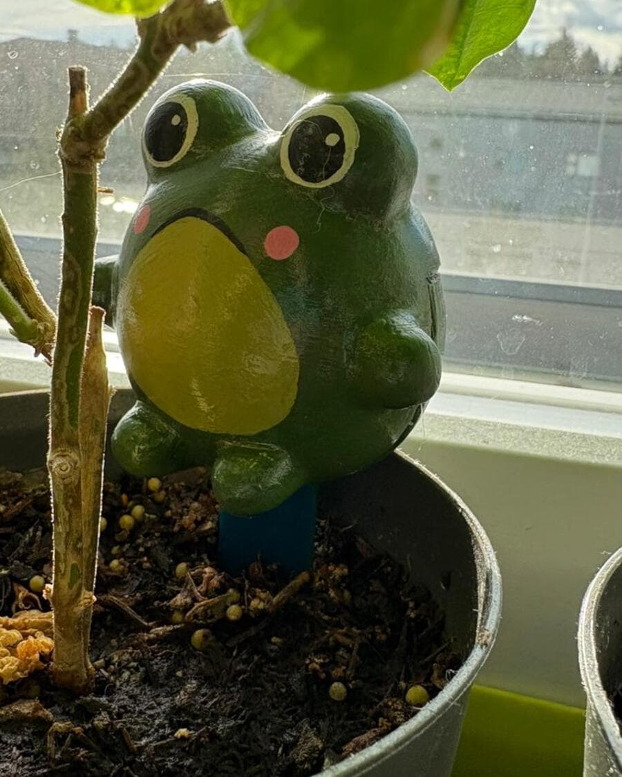 A green Sprooty frog on a blue stake pushed into the soil of a pot on a sunlit windowsill.